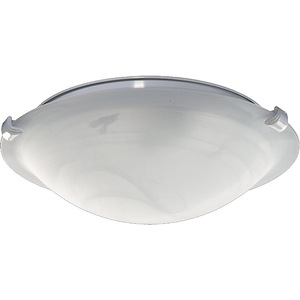 Accessory - 12 Inch 18W 2 LED Light Kit