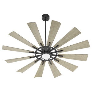 Cirque - 12 Blade Patio Fan with Light Kit-15 Inches Tall and 60 Inches Wide - 1106048