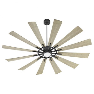 Cirque - 12 Blade Patio Fan with Light Kit-15 Inches Tall and 72 Inches Wide - 1106049
