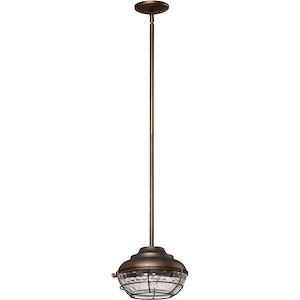 Hudson - 1 Light Outdoor Pendant in Transitional style - 9.75 inches wide by 10 inches high