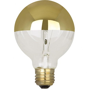 Accessory - 4.5 Inch 40W G25 6 Replacement Bulb