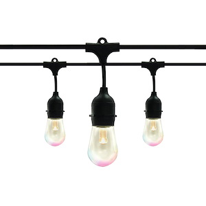 Starfish - 288 Inch 10W 10 LED String Light - 1223154