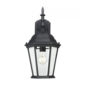 1 Light Outdoor Wall Lantern-Traditional Style with Transitional Inspirations-18 inches tall by 9 inches wide - 1217158