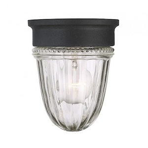 1 Light Jelly Jar Outdoor Wall Lantern-Traditional Style with Transitional Inspirations-6.75 inches tall by 5.38 inches wide - 1217194