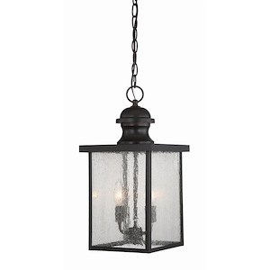 2 Light Outdoor Hanging Lantern-Traditional Style with Transitional and Contemporary Inspirations-18.5 inches tall by 9 inches wide