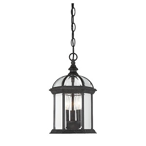 3 Light Outdoor Hanging Lantern-Traditional Style with Transitional and Rustic Inspirations-13.75 inches tall by 8.25 inches wide - 97459