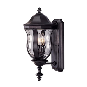 2 Light Outdoor Wall Lantern-Traditional Style with Country French and Transitional Inspirations-17.88 inches tall by 7.88 inches wide