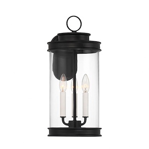 Englewood - 3 Light Outdoor Wall Lantern In Traditional Style-19 Inches Tall and 8.5 Inches Wide