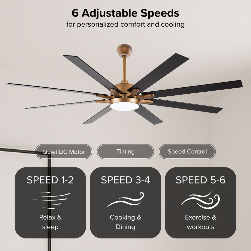 Sky Plus Fans SkyX - 2122-GD - Cygnus SkyFan 65in 8 Blade Ceiling Fan and Light Kit ...