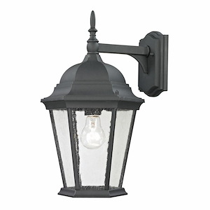 Temple Hill - 1 Light Outdoor Wall Sconce-16 Inches Tall and 9 Inches Wide