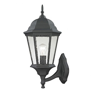 Temple Hill - 1 Light Large Outdoor Coach Lantern - 1056352