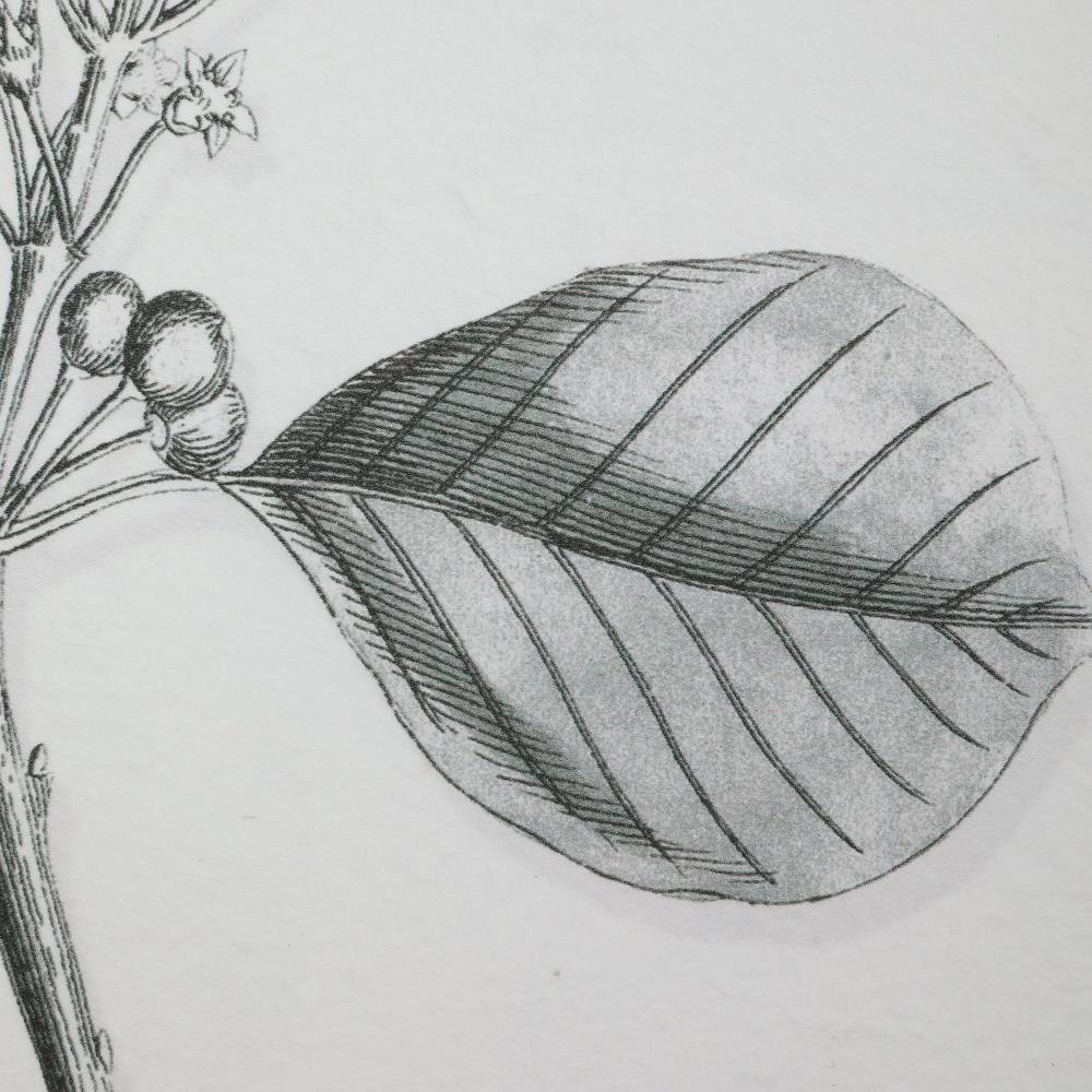 41617