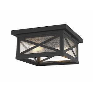 Z-Lite - 583F-BK - Brookside - 2 Light Outdoor Flush Mount