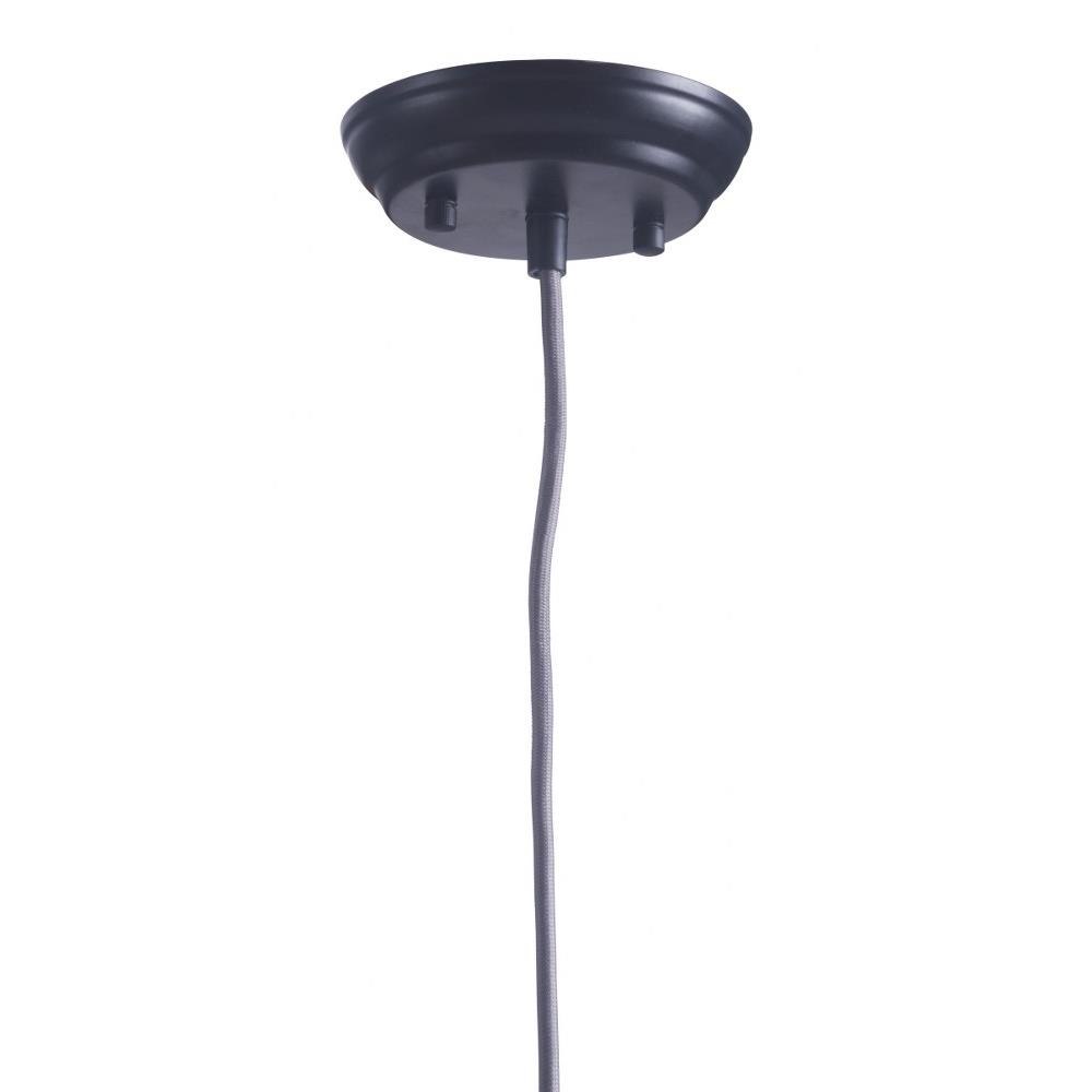 50209